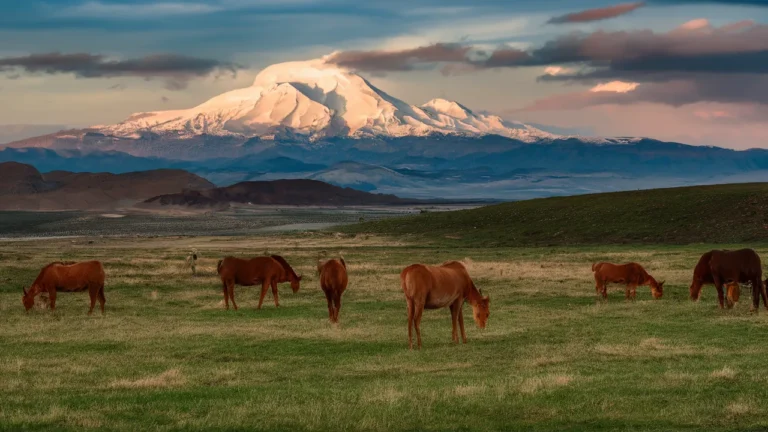 Goojara: A Complete Guide to Online Streaming, Features, and Better Alternatives Goojara