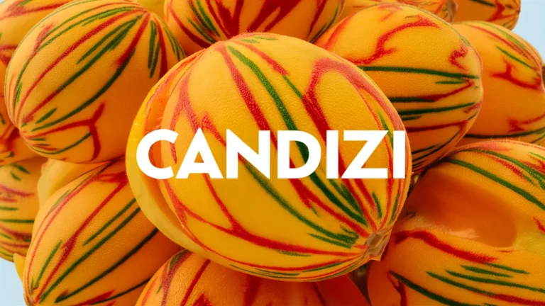 Candizi